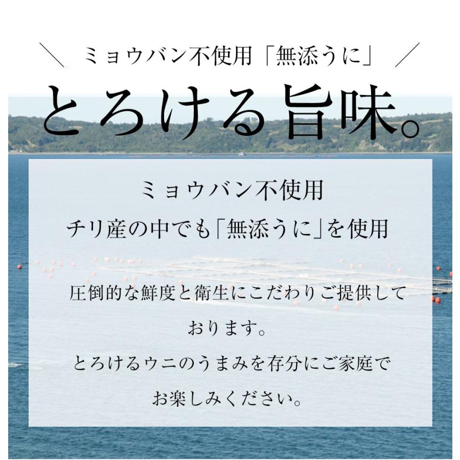 うに 100g 雲丹 冷凍生うに 無添加 ミョウバン不使用 AAグレード ウニ 安心・安全 丼2杯分 寿司 北海丼 在宅 母の日 父の日 敬老 在宅 中元 お歳暮 ギフト