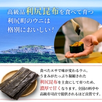 北海道 利尻 島産 塩水生うに（ムラサキウニ）100g×2パック [2024年6月出荷開始先行受付] ウニ 塩水ウニ