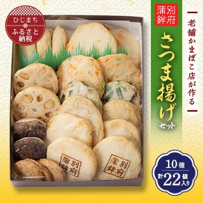 ふるさと納税 日出町 さつま揚げ(天ぷら)セット 10種 22個入り おかずやおつまみにおすすめ!