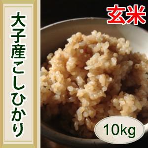 コシヒカリ 玄米 10kg 茨城県 大子産 令和5年産 こしひかり お米コンテストで最優秀賞受賞！