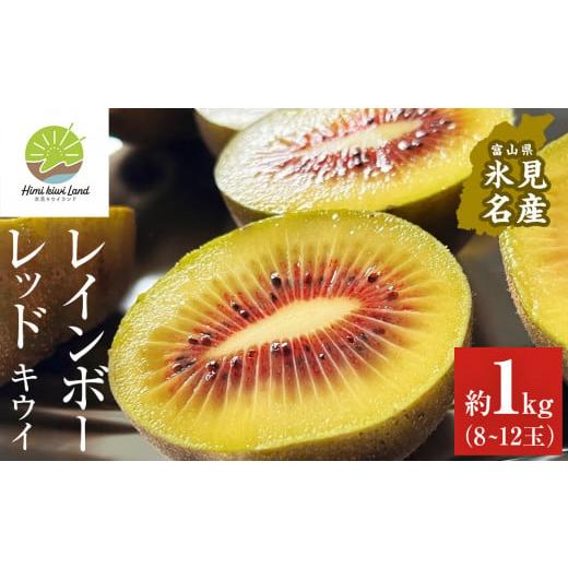 ふるさと納税 富山県 氷見市 氷見産キウイ（レインボーレッド）約1kg（8〜12玉）  ｜　富山県 氷見市 レインボーレッドキウイ 国産 キウイフルーツ