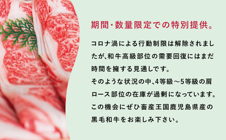 期間・数量限定！ 鹿児島県産黒毛和牛 肩ローススライス600g  訳あり すき焼き しゃぶしゃぶ 肉 和牛 牛肉 肩ロース スライス 黒毛和牛 4等級 5等級 霜降り 600g 冷凍 スターゼン 鹿児島 南さつま市