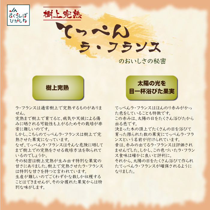 [予約 11月15日～12月25日納品]  山形県産 洋梨 てっぺん ラ・フランス 3kg 6玉-11玉 山形県 JAさくらんぼひがしね 果樹王国 ラフランス ギフト