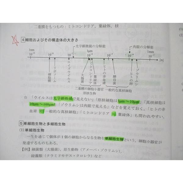 UT19-103 四谷学院 生物基礎 55マスター 2021 07s0B