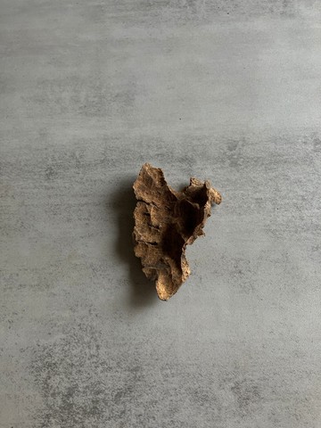 野生芽莊沉香老料S49(4.8克)