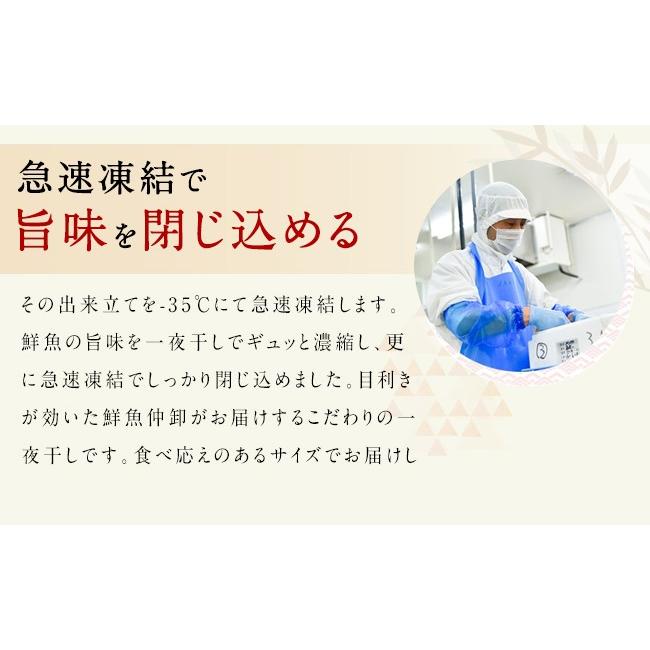 ふるさと納税 福岡県 古賀市 生から開いた一夜干しセット 5種9枚　 (株)アキラ・トータルプランニング