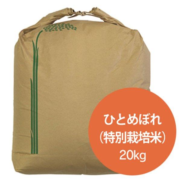 新米 令和5年  2023年産 石川県産 特別栽培米 ひとめぼれ 玄米20kg 一等米 産地直送 ばんば