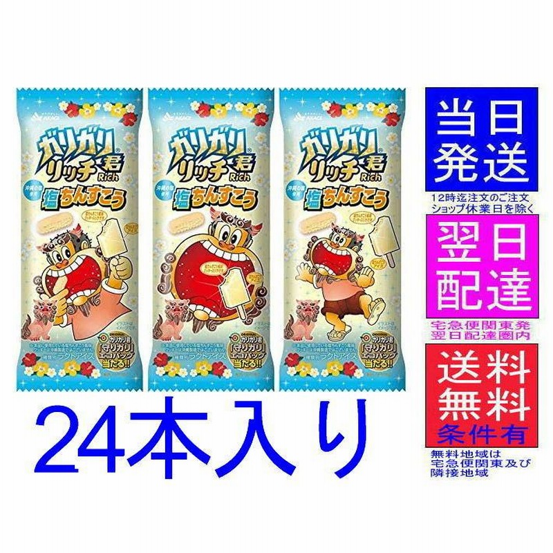赤城乳業 ガリガリ君リッチ 塩ちんすこう100ml×24袋 東京発