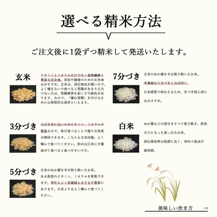 減農薬 有機肥料使用 つや姫 5kg 数量限定 お米 宮城県産 米 5キロ 宮城県桃生町産 新米 令和４年産 玄米 分づき 精白米