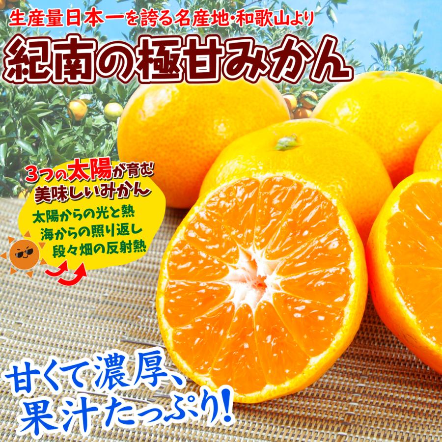 みかん 10kg 紀南の極甘みかん 和歌山産 蜜柑 ご家庭用 送料無料 食品