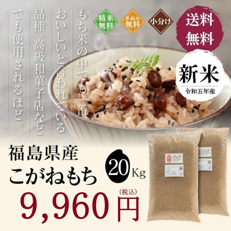 米 お米 20kg もち米 福島県産 こがねもち 送料無料 精米 令和５年産