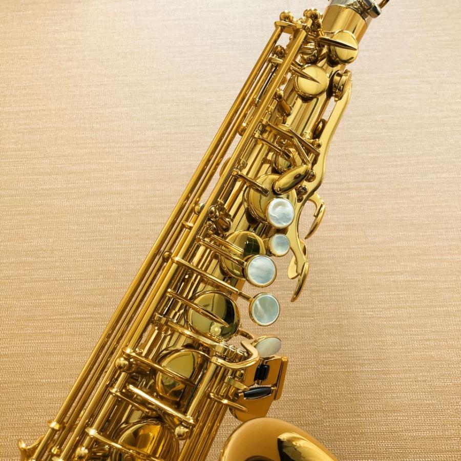 在庫有り セルマー アルトサックス Signature ダークシグネチャーラッカー仕上げ  SELMER シグネチャー  管楽器