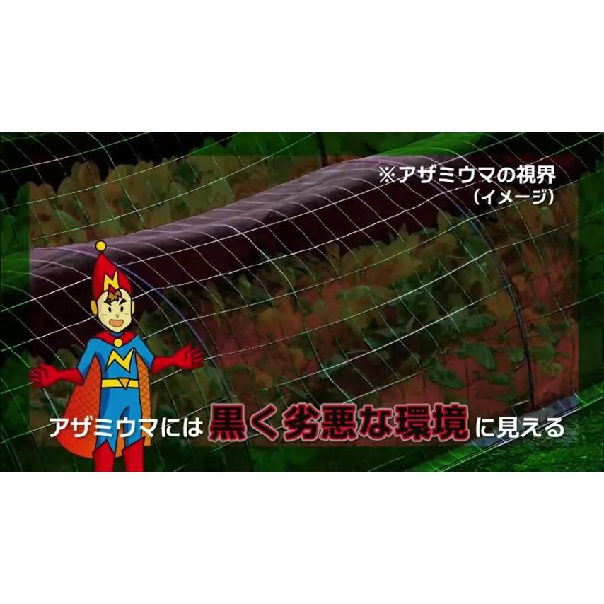 日本ワイドクロス 防虫ネット サンサンネット クロスレッド 0.8mm目 1.5mx100m 透光率70% XR2700