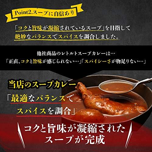 絶品チキンの札幌スープカレー 300g×2食セット レトルト 保存食にも