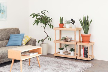 旭川工藝 cosine Plant 層架