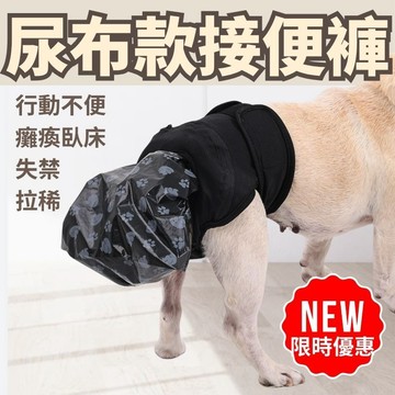 【台灣現貨】自動接便防漏褲 便便不落地 老年犬照護 失禁護理 體弱行動不便 失智 癱瘓 長時間臥床 後肢無力便便時站不穩