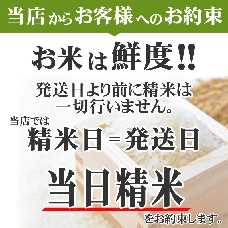 ポイント消化 米 お米 送料無料 銀河のしずく 900g (6合) 令和4年産 岩手県産 白米 無洗米 分づき 玄米 当日精米 真空パック メール便 ゆうパケ