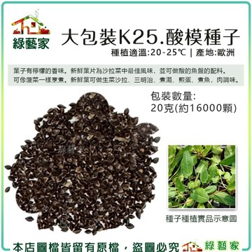 【綠藝家】大包裝K25.酸模種子20克(約16000顆) (香草種子)