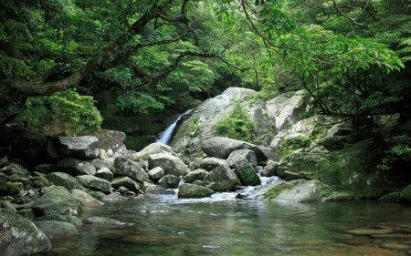 島根県産チョウザメの缶詰　3種4個セット