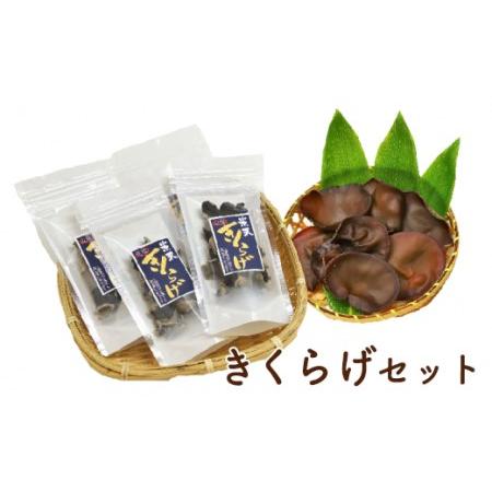 ふるさと納税 《先行予約》 米沢産 きくらげセット 生きくらげ 乾燥きくらげ 各2パックセット 〔6〜10月中旬頃配送〕 無農薬栽.. 山形県米沢市