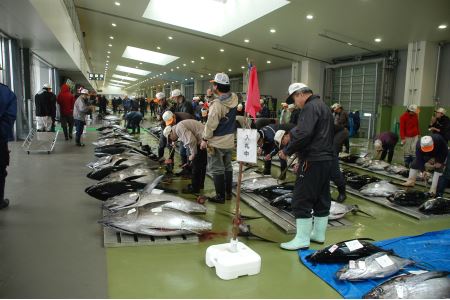 銚子港水揚げ　生メバチマグロ(刺身用サク)300グラム程度 　※沖縄県、離島への発送不可　※発送日・曜日指定不可