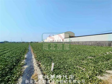 新市區潭頂段雙面路農地｜台南市新市區潭頂段