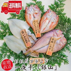 (地域限定送料無料) 岡富商店 おおだブランド一夜干「銀山」〈甘鯛1枚(175g)・白いか2枚・のどぐろ1～2枚(計170g)〉冷凍 干物セット ギフ