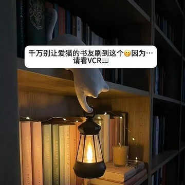 貓咪擺件小吊燈 創意桌面裝飾 玄關裝飾掛件 掛件小吊燈 氛圍感床頭燈  可掛鑰匙小物件 玄關收納架