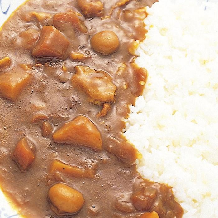 お歳暮ギフト2023にも！ 三田屋総本家　黒豚のポークカレー20食 ［送料無料］