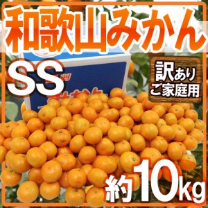 ”和歌山みかん” 訳あり 小粒・小玉 SSサイズ 約10kg 送料無料