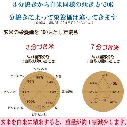 新米 令和５年度産　富山県産 特別栽培米てんたかく 玄米２ｋｇ