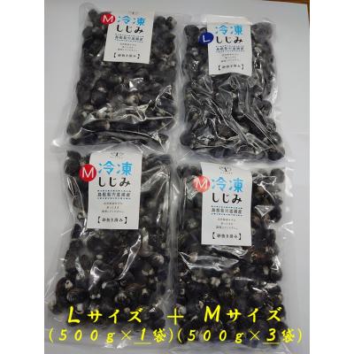 ふるさと納税 松江市 宍道湖産冷凍大和しじみ 砂抜き済 (L)500g (M)1.5kg