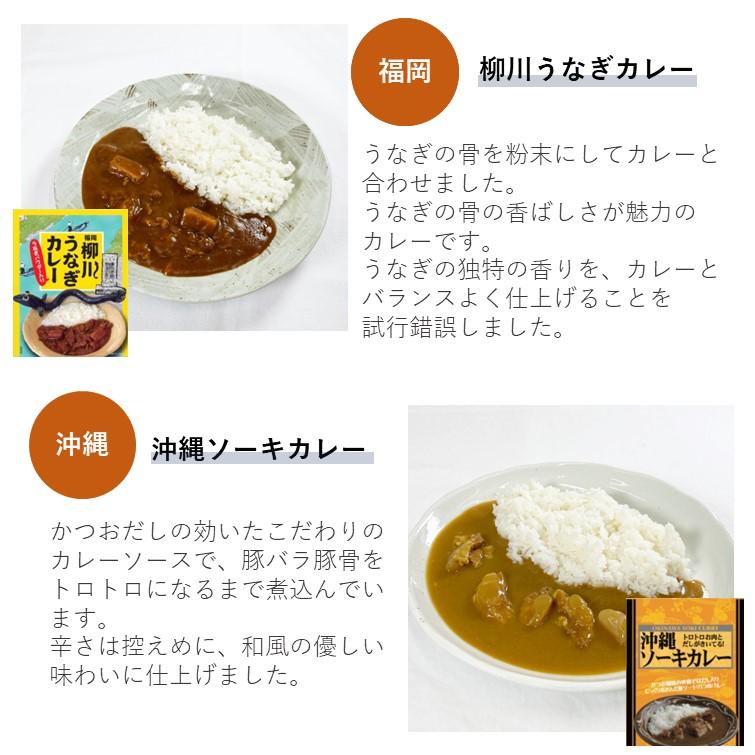 レトルトカレー バラエティー 10食 詰め合わせ 中辛 人気 ご当地 グルメ 日本 お取り寄せ 食べ比べ ギフトセット 旅行 常温保存 2023 食べ物