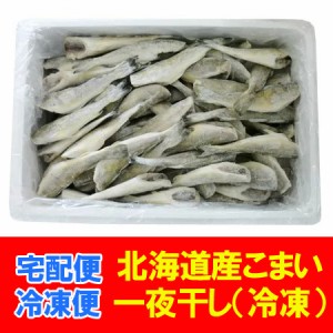 北海道産 こまい 送料無料 氷下魚 業務用 こまい 80尾～120尾入 Sサイズ 一夜干し コマイ 冷凍