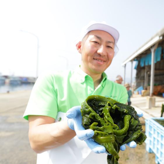 魚介類 海藻 送料無料 新物 釜揚げ塩蔵わかめ120ｇ×15袋 玄界灘産  産地直送