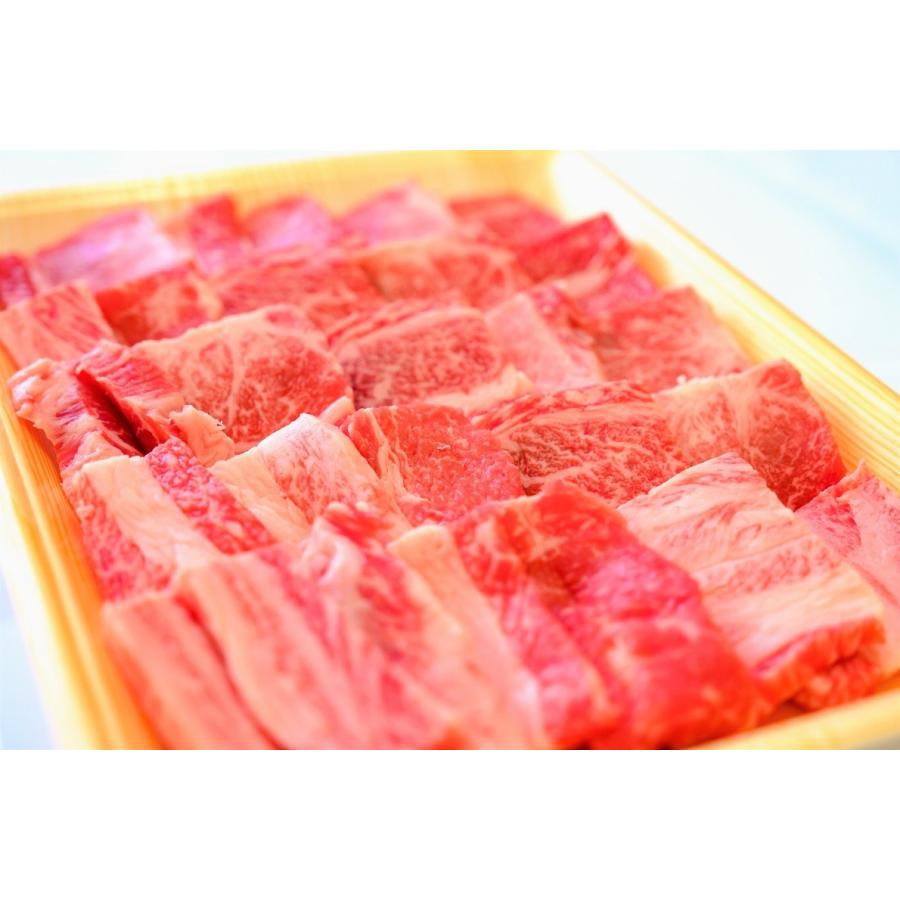 土佐あかうし　和牛カルビ焼き肉用　500g