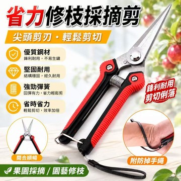園藝剪刀 修剪樹枝剪刀 農用剪刀 葡萄剪 安全剪刀 園藝修枝器 果樹剪 花枝剪刀 不鏽鋼修枝剪 花剪 剪定鋏 粗枝剪刀