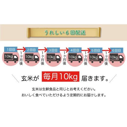 ふるさと納税 山形県 戸沢村 令和5年産 山形県戸沢村 厳選 はえぬき  60kg 定期便（10kg×1カ月ごと6回お届け） ＜配送時期指定可＞