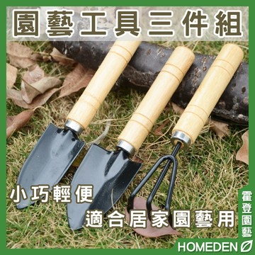 【隔日到貨】園藝工具三件組 多肉植物工具 種植工具 鏟子  鐵鍬 鐵鏟 鐵耙 鬆土工具【HOMEDEN霍登園藝】