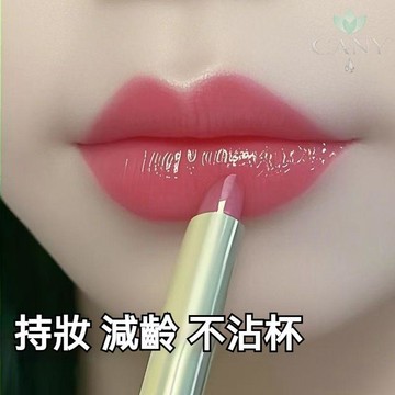 ✨台灣出貨【持久固色】🔥霜美人雙頭雨衣口紅 2026新正品不掉色 滋潤口紅 防水不沾杯 提升氣色 啞光顯白 平價霧面口紅