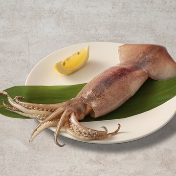 【買一送一$199】王品嚴選阿根廷野生鮮凍魷魚(1入/130G)