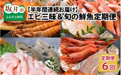  エビ三昧＆旬の鮮魚 定期便 ～日本海の海の幸コラボ～ [F-8503]