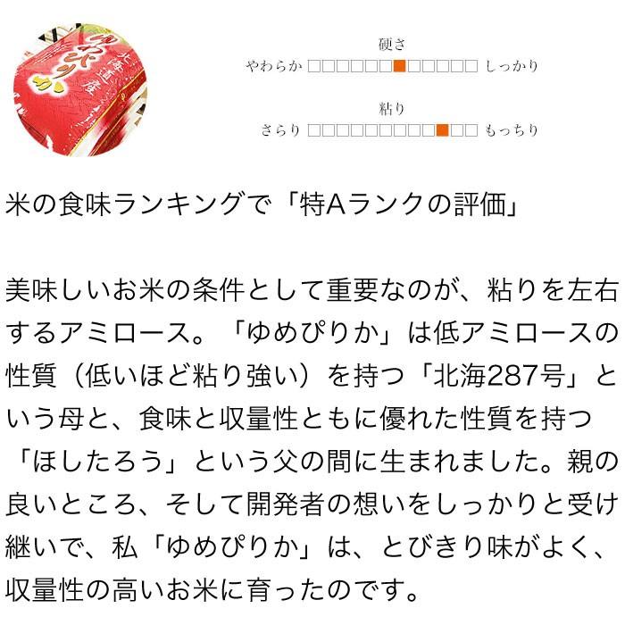 新米 米 10kg 5kg×2袋セット お米 ゆめぴりか 北海道産 白米 令和5年産 送料無料