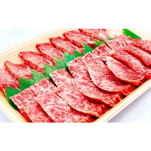 ふるさと納税 大分県 宇佐市 C-182 まちのお肉屋さん 焼肉セット 500g おおいた和牛 タレつき