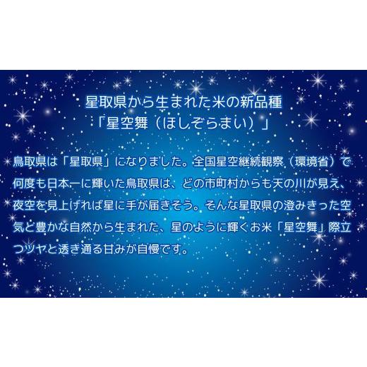 ふるさと納税 鳥取県 日吉津村 TA06：鳥取県産米　星空舞2kg×2袋（６回お届け）