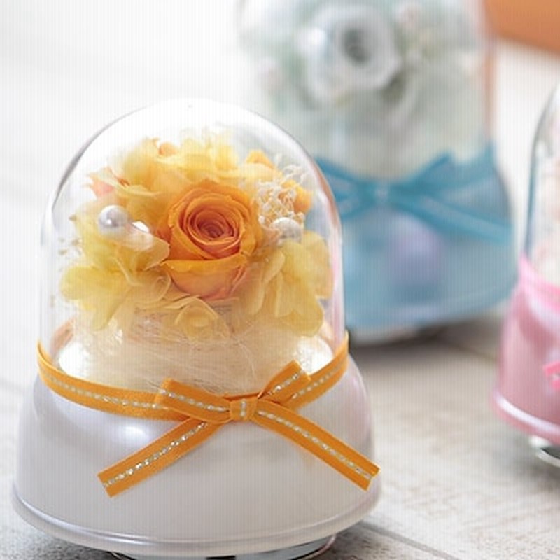 午前12時までの決済で当日発送可能 プリザーブドフラワー ドーム オルゴール Desir デジール 星に願いを 花 誕生日 結婚祝い 結婚記念日 出産祝い ブリザードフラワー プレゼント 通販 Lineポイント最大1 0 Get Lineショッピング