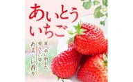 A-D24 あいとうイチゴ 24粒～36粒 苺 いちご あいとうマーガレットステーション