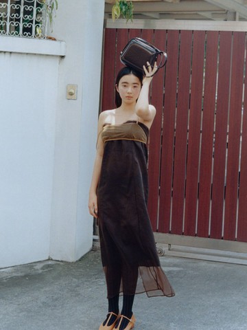 Shell Frame Bag