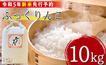 北海道厚沢部産ふっくりんこ10kg※2023年11月新米からお届け ASG027