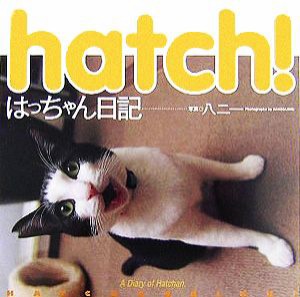  ｈａｔｃｈ！はっちゃん日記／八二一